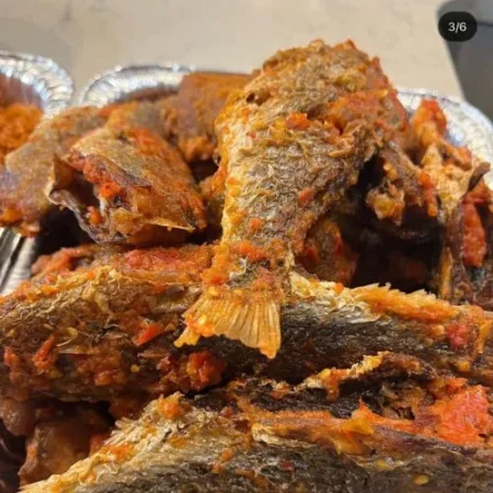 Peppered Croaker